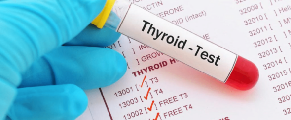 АТ-ТПО гормон: связь с иммунной системой